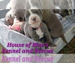 Image preview for Ad Listing. Nickname: Mauve Female