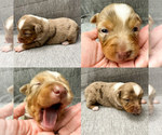 Image preview for Ad Listing. Nickname: Toy female