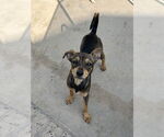 Small #2 Breeder Profile image