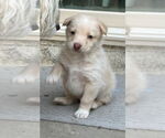 Small #3 Breeder Profile image