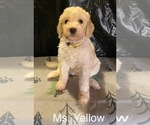 Image preview for Ad Listing. Nickname: Ms Yellow