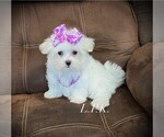 Image preview for Ad Listing. Nickname: Tiny Adeline