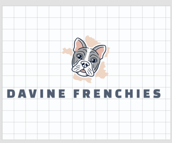 Medium Photo #1 French Bulldog Puppy For Sale in WEST MIFFLIN, PA, USA