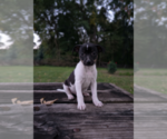 Image preview for Ad Listing. Nickname: Smore