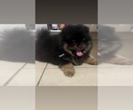 Image preview for Ad Listing. Nickname: Miracle