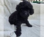 Image preview for Ad Listing. Nickname: Gunner