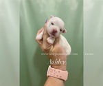 Image preview for Ad Listing. Nickname: Ashley