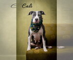 Small #1 Breeder Profile image
