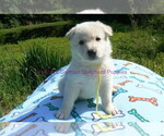 Image preview for Ad Listing. Nickname: Backyard Honeys