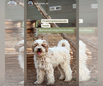 Image preview for Ad Listing. Nickname: Doodle Dot
