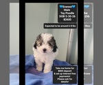 Image preview for Ad Listing. Nickname: Everest