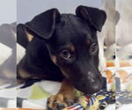 Small #1 Breeder Profile image