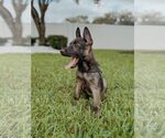 Small #2 Breeder Profile image