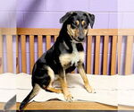 Small #2 Breeder Profile image