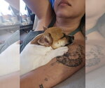 Small #1 Jack Chi
