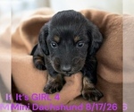 Image preview for Ad Listing. Nickname: Litter of 10
