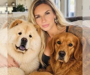Mother of the Chow Chow puppies born on 09/05/2026