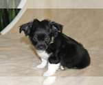  - Photo #2