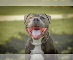 Small #1 Breeder Profile image