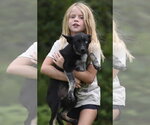 Small #5 Mutt