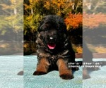 Image preview for Ad Listing. Nickname: GSD