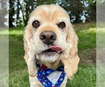 Small #2 Breeder Profile image