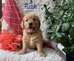 Image preview for Ad Listing. Nickname: Russle