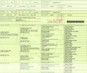 Father of the Schnauzer (Miniature) puppies born on 02/23/2023