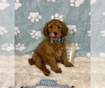 Image preview for Ad Listing. Nickname: Zane