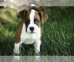 Image preview for Ad Listing. Nickname: Kenzie
