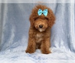Image preview for Ad Listing. Nickname: Peaches