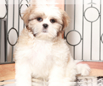 Image preview for Ad Listing. Nickname: Harry