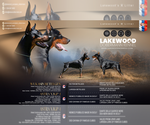 Small Doberman Pinscher