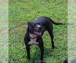 Small #2 Breeder Profile image
