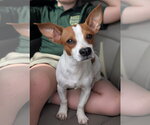Small #2 Jack Chi