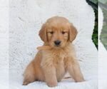 Image preview for Ad Listing. Nickname: Philip