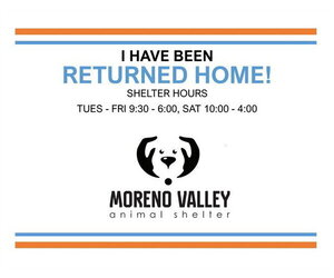Mutt Dogs for adoption in Moreno Valley, CA, USA