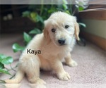 Image preview for Ad Listing. Nickname: Kaya