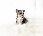 Image preview for Ad Listing. Nickname: Smores