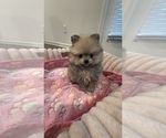 Image preview for Ad Listing. Nickname: LUCY