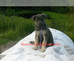 Image preview for Ad Listing. Nickname: WildernessTrail