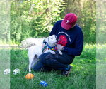 Small #5 Labrador Retriever Mix