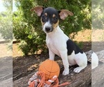 Image preview for Ad Listing. Nickname: Sam