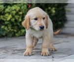 Image preview for Ad Listing. Nickname: Alva