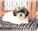 Small #2 Poovanese