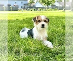 Image preview for Ad Listing. Nickname: Kevin