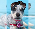 Small #3 Breeder Profile image
