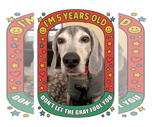 Beagle-Unknown Mix Dogs for adoption in Dunnellon, FL, USA