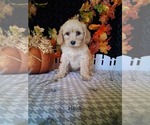 Image preview for Ad Listing. Nickname: Heidi