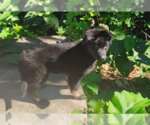 Image preview for Ad Listing. Nickname: Tinkerbell